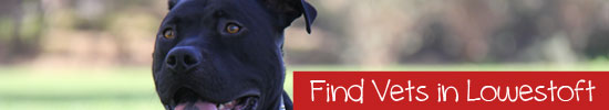 Find-Vets-in-Lowestoft